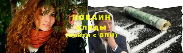 индика Белокуриха