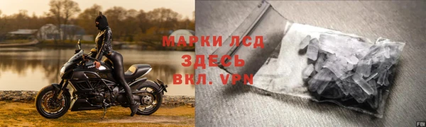 индика Белокуриха