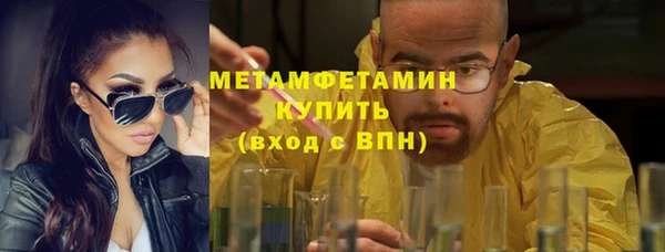 индика Белокуриха