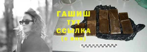 индика Белокуриха