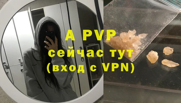 индика Белокуриха
