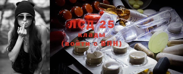 индика Белокуриха