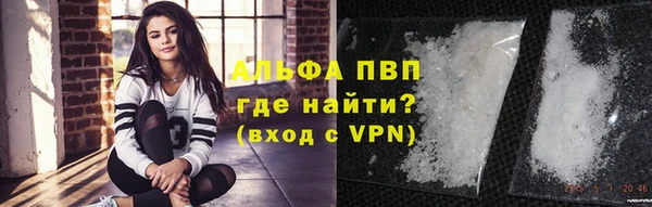 индика Белокуриха